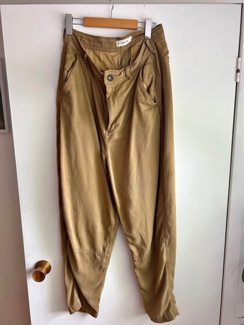 Everlane Barrel Pant